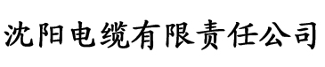 久久99热狠狠色精品一区电缆厂logo